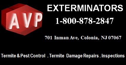 AVP Exterminators: 1-800-878-2847; 701  Inman Ave,  Colonia,  NJ 07067; Termite and Pest Control, Termite Damage Repairs